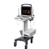 Aeroscan PORTABLE COLOR DOPPLER SYSTEM CD10 with 2 probes and 15 Monitor (convex and linear/tv)