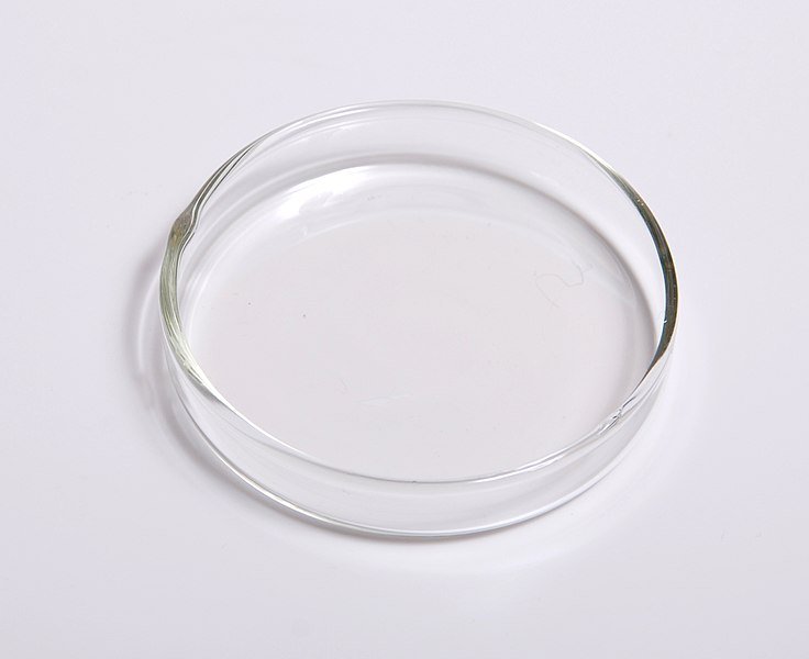 AMBER Culture Petri Dishes (3inch)