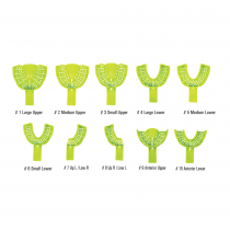 Denmax Impression Trays Perforated, Plastic Assorted pack #1 - #10,Autoclave - Green