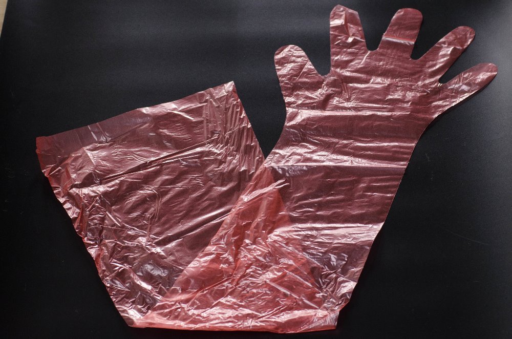 GLOBAL Plastic DisposableVeterinary Gloves(Transparent)