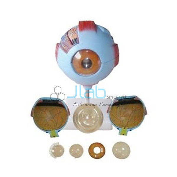 JLab GIANT EYE MODEL