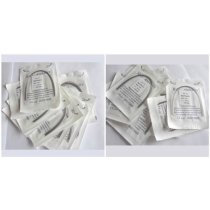 ORION SS Archwire Euro Form Lower Rectangular