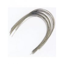 ORION SS Archwire Eurol Form Lower Round